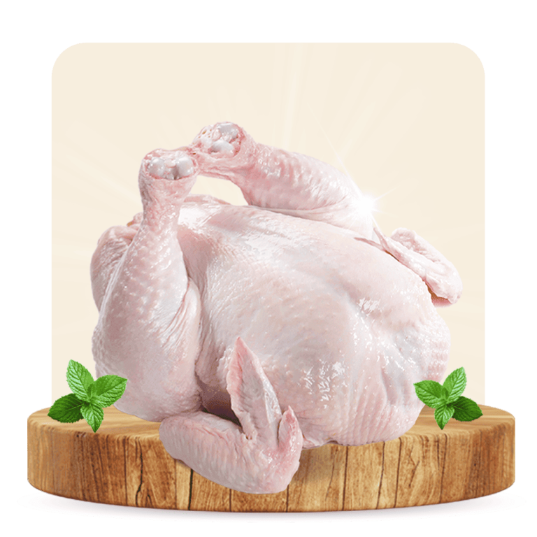 Ayam Fresh Probiotik
