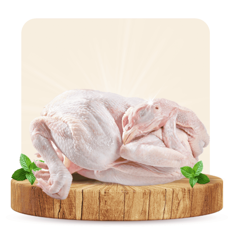 Ayam Kampung Olagud