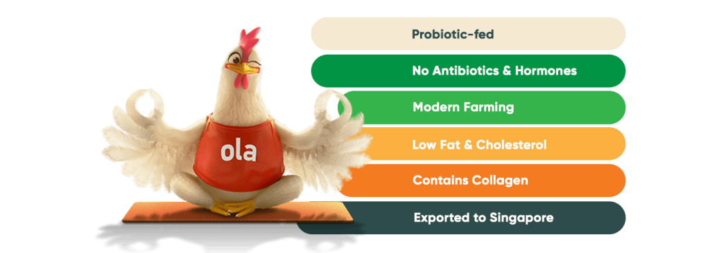 Ayam Potong Segar Olagud